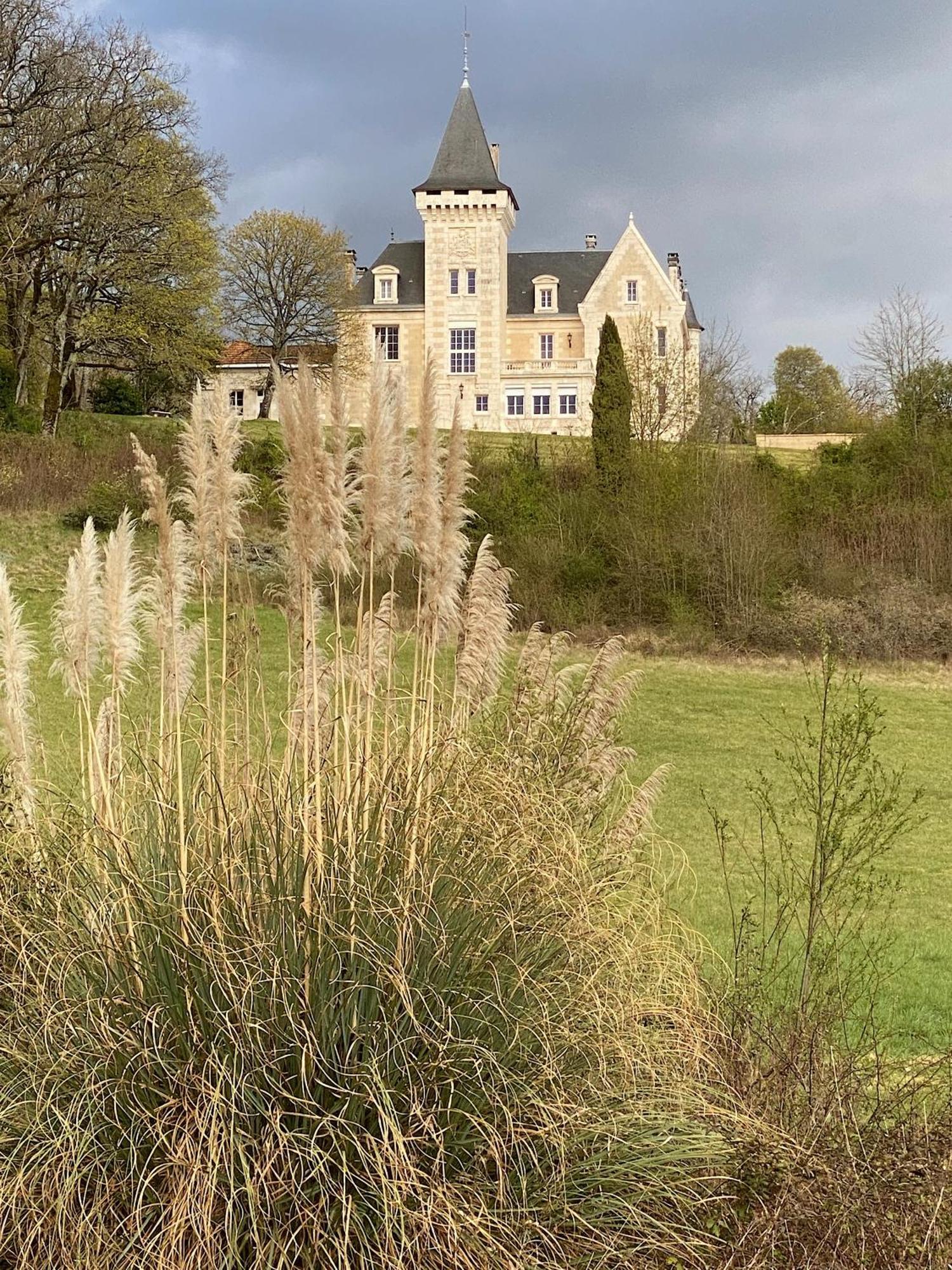 Chateau De Bellevue B&B Et Appartements Avec Piscine Saisonal Chauffee Et Chambres Partout Climatisees Saint-Avit  Exterior photo
